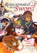 Reincarnated as a sword, t. 13